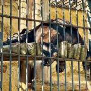 みすず お仕事終わりに… 横浜おかあさん