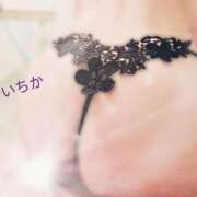 ヒメ日記 2025/09/07 08:03 投稿 小池いちか ウフフな40。ムフフな50。。（横浜ハレ系）