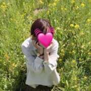 ヒメ日記 2025/04/06 14:31 投稿 中里 静奈 レス青山