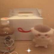 ヒメ日記 2025/02/21 16:02 投稿 あおりんご チューリップ姫路店