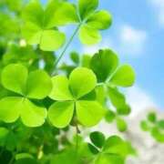 ヒメ日記 2025/03/15 22:33 投稿 ★みふる★ 金沢若妻