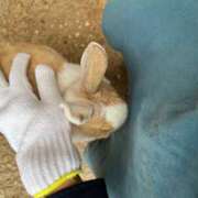 ヒメ日記 2025/03/01 09:03 投稿 ★ゆり★ 金沢若妻