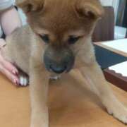 ヒメ日記 2025/02/23 09:36 投稿 まりこ 美熟女倶楽部Hip's 春日部店