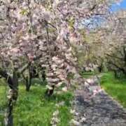 ヒメ日記 2025/04/15 22:24 投稿 まりこ 美熟女倶楽部Hip's 春日部店