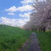 ヒメ日記 2025/04/16 17:54 投稿 まりこ 美熟女倶楽部Hip's 春日部店