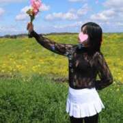 ヒメ日記 2025/04/19 12:24 投稿 まりこ 美熟女倶楽部Hip's 春日部店