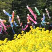 ヒメ日記 2025/04/20 14:06 投稿 まりこ 美熟女倶楽部Hip's 春日部店