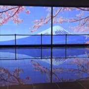 ヒメ日記 2025/05/24 22:44 投稿 まりこ 美熟女倶楽部Hip's 春日部店