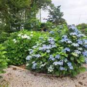 ヒメ日記 2025/06/13 20:18 投稿 まりこ 美熟女倶楽部Hip's 春日部店