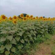 ヒメ日記 2025/08/01 16:54 投稿 まりこ 美熟女倶楽部Hip's 春日部店