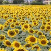 ヒメ日記 2025/08/01 20:06 投稿 まりこ 美熟女倶楽部Hip's 春日部店