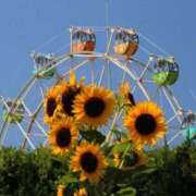 ヒメ日記 2025/08/30 14:14 投稿 まりこ 美熟女倶楽部Hip's 春日部店