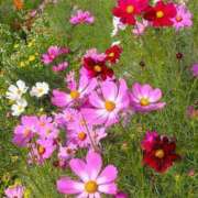 ヒメ日記 2025/10/08 10:52 投稿 まりこ 美熟女倶楽部Hip's 春日部店