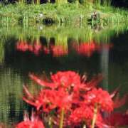 ヒメ日記 2025/10/13 12:22 投稿 まりこ 美熟女倶楽部Hip's 春日部店