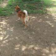 ヒメ日記 2025/11/19 11:32 投稿 まりこ 美熟女倶楽部Hip's 春日部店