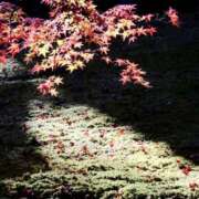 ヒメ日記 2025/11/21 17:23 投稿 まりこ 美熟女倶楽部Hip's 春日部店