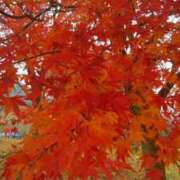 ヒメ日記 2025/11/23 14:39 投稿 まりこ 美熟女倶楽部Hip's 春日部店