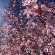 ヒメ日記 2026/02/01 14:28 投稿 まりこ 美熟女倶楽部Hip's 春日部店