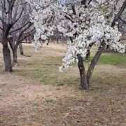 ヒメ日記 2026/03/29 09:55 投稿 まりこ 美熟女倶楽部Hip's 春日部店