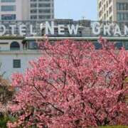 ヒメ日記 2026/03/30 17:22 投稿 まりこ 美熟女倶楽部Hip's 春日部店