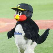 ヒメ日記 2025/03/06 21:17 投稿 やよい 川崎ソープ　クリスタル京都南町