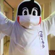 ヒメ日記 2025/05/19 08:26 投稿 やよい 川崎ソープ　クリスタル京都南町