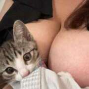 ヒメ日記 2025/06/19 14:36 投稿 みや ピーチハニー