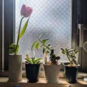 ヒメ日記 2025/01/28 10:54 投稿 しの 梅田ゴールデン倶楽部