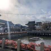 ヒメ日記 2025/01/30 13:04 投稿 しの 梅田ゴールデン倶楽部