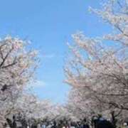 ヒメ日記 2026/02/28 14:32 投稿 しの 梅田ゴールデン倶楽部