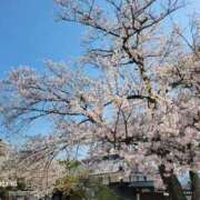 ヒメ日記 2025/04/12 06:01 投稿 安田 えみ 人妻の雫　福山店