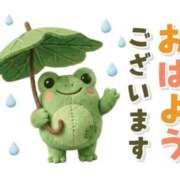 ヒメ日記 2026/07/06 05:48 投稿 安田 えみ 人妻の雫　福山店