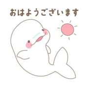 ヒメ日記 2026/07/19 05:58 投稿 安田 えみ 人妻の雫　福山店