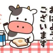 ヒメ日記 2026/08/24 05:08 投稿 安田 えみ 人妻の雫　福山店