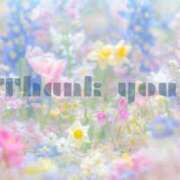 ヒメ日記 2025/01/07 10:36 投稿 かなこ 成田人妻花壇