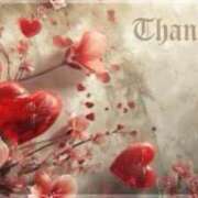 ヒメ日記 2025/03/20 18:14 投稿 かなこ 成田人妻花壇