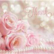 ヒメ日記 2025/03/31 15:21 投稿 かなこ 成田人妻花壇