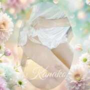 ヒメ日記 2025/04/22 09:49 投稿 かなこ 成田人妻花壇