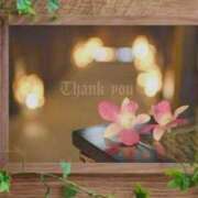 ヒメ日記 2025/06/15 14:56 投稿 かなこ 成田人妻花壇