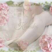 ヒメ日記 2025/06/16 09:42 投稿 かなこ 成田人妻花壇