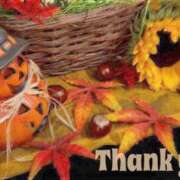 ヒメ日記 2025/10/15 18:30 投稿 かなこ 成田人妻花壇