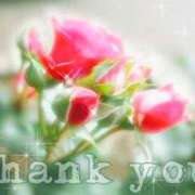 ヒメ日記 2026/02/06 16:52 投稿 かなこ 成田人妻花壇