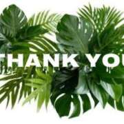 ヒメ日記 2026/04/13 04:24 投稿 かなこ 成田人妻花壇