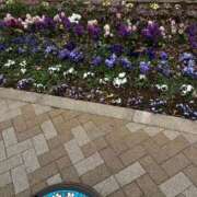 ヒメ日記 2025/03/15 13:11 投稿 新人あこ46歳 夫を卒業する人妻たち