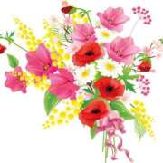 ヒメ日記 2025/12/18 12:58 投稿 新人あこ46歳 夫を卒業する人妻たち