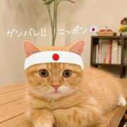 ヒメ日記 2026/02/21 16:11 投稿 新人あこ46歳 夫を卒業する人妻たち