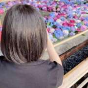 ヒメ日記 2025/01/07 03:08 投稿 るか Flower（フラワー）