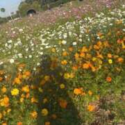 ヒメ日記 2025/10/31 21:23 投稿 梨央奈(りおな) PLUS難波店