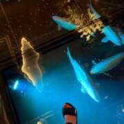 梨央奈(りおな) こんばんわ PLUS難波店