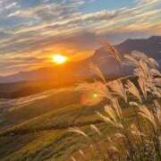 梨央奈(りおな) 昨日のお礼 PLUS難波店